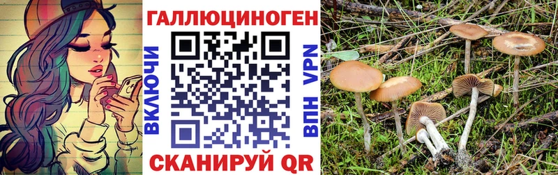 гидра рабочий сайт  купить   Махачкала  Псилоцибиновые грибы Psilocybine cubensis 