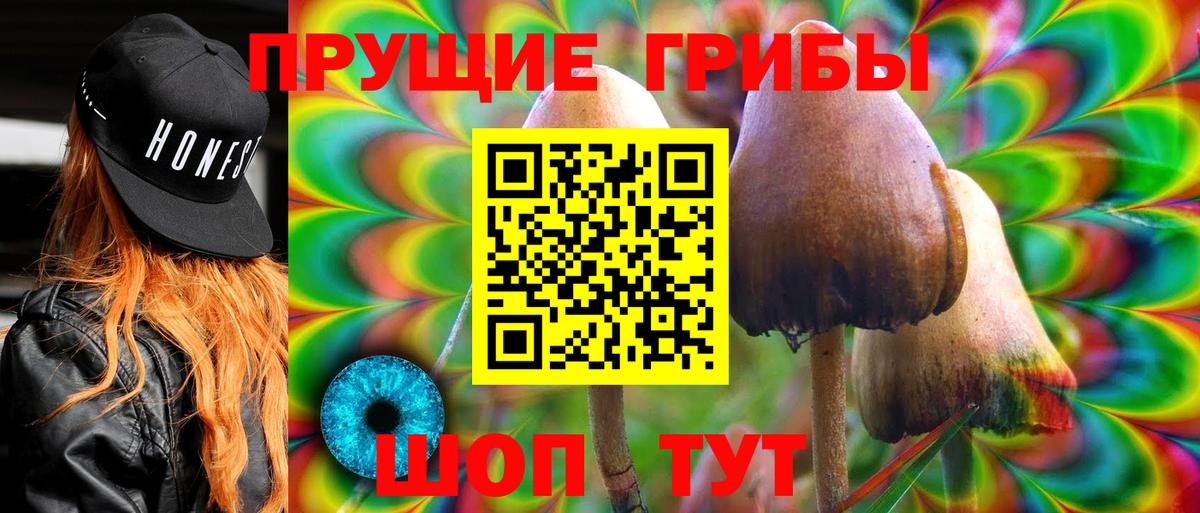 Махачкала  Галлюциногенные грибы прущие грибы  Вход с VPN 