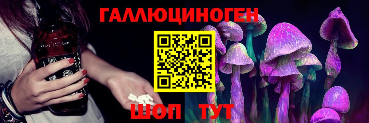 Псилоцибиновые грибы GOLDEN TEACHER Махачкала